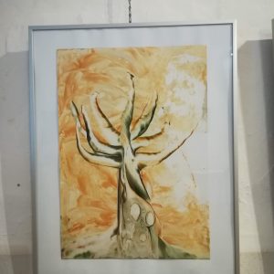 Baobab - Obrazy Ždánice