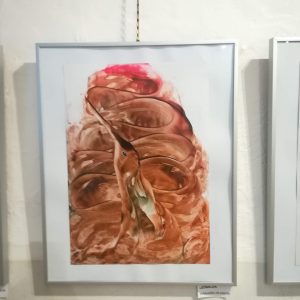 Ledňáček - Obrazy Ždánice